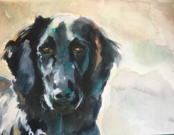 Jelka mijn lieve flatcoat 