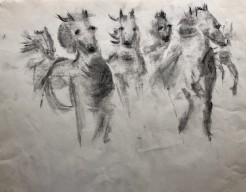 Paarden in galop op de steppen van Mongolië 