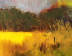 Impressie van landschap