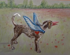 Metamorfose tekening