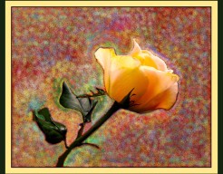 "Tussen Ruis en Roem"