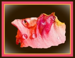 "De Laatste Ademtocht"