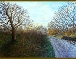 Wandelpad in de winterzon