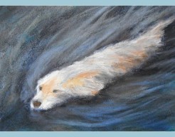 Snel zemmen kan ik ook