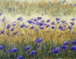 Bloemen 7 het Vlackeland 