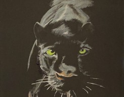 Jaguar (E.P) VERKOCHT