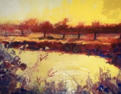 Ochtend in de polder