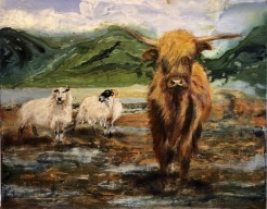 Schotse hooglander met schapen