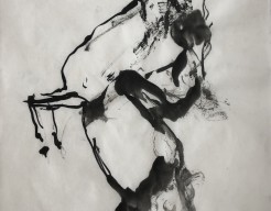 Steigerend paard in snelschets. 