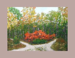 Klein kleurrijk kruispunt in de Naardereng