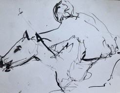 Paard -  snelschets in inkt met rietpen