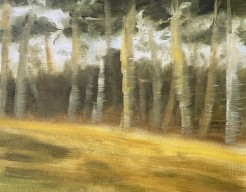 Voorstudie landschap