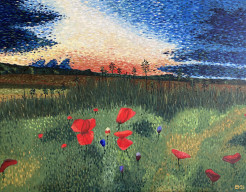 33. Klaprozen bij zonsondergang in Umbrië 