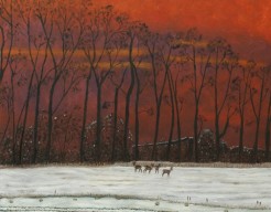 Ochtendrood in de winter