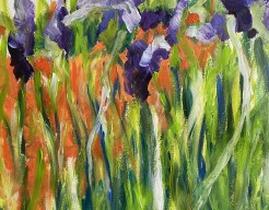 Tuinen van Monet en joan