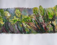 Wolfsmelk uit de tuin