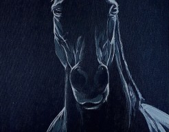 Dark horse (E.P) VERKOCHT