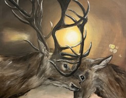 Reindeer in love (M.H)