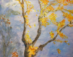 "Herfst....Kleur.....Beweging"