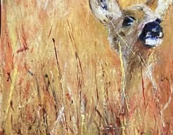 Verrassend Nederland