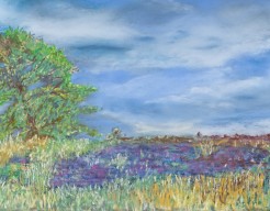 Een wandeling over het Balloërveld