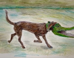 Deena draadhaar metamorfose