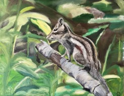 Siberische grondeekhoorn 