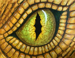 Dragon Eye
