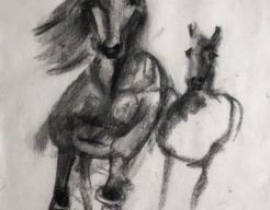 Paarden in galop over de steppe