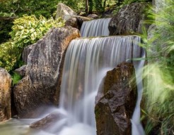 Circle of Life - fotografie