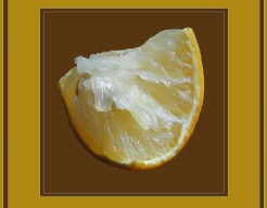 Onderdeel van een citroen