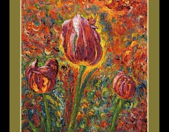 "Ontluikende Tulpen"