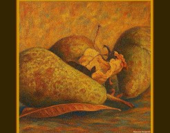 "Peren in Herfstlicht"