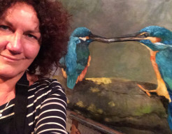 IJsvogels, oude voedt jonge