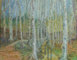 Landschap, Berkenbos