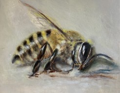 Bij-zaak ~ Hoofdzaak