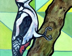 Bonte specht in boom