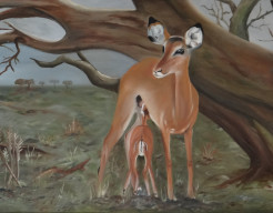 Impala moeder met jong