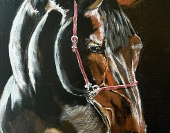 Hold your horse (E.P)