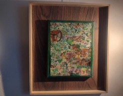 cyclus van het leven 