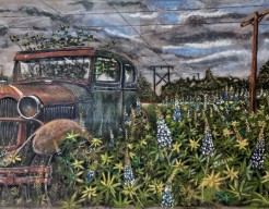 Verlaten auto in veld met Lupinen