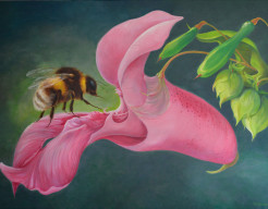 Dance of the Bumblebee