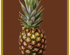 De ananas