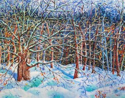 Winter in de Stompert