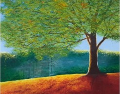 Deer in the treeline