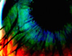 Do you see what I see?