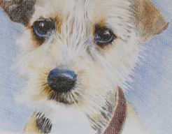 Serie Dog eye's nr. 3