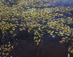 Meer in Ierland in de herfst 