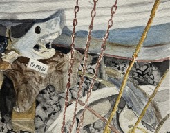 Op de haaienboerderij