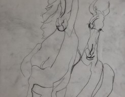 Blindcontourtekening paarden